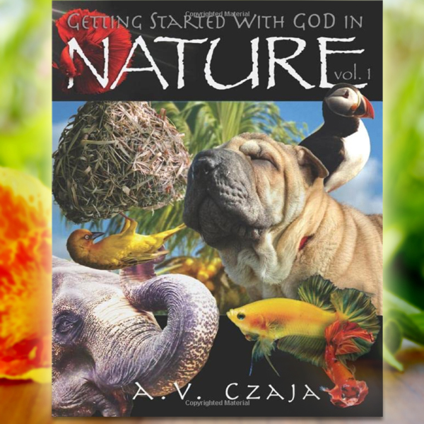 Getting Started with God In Nature vol. 1, Family Book. 13 Bible Stories in Parable form.