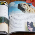 Getting Started with God In Nature vol. 1